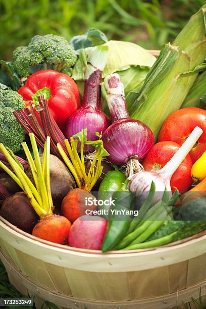 Foto de Recémcolhidas Variedade De Produtos Frescos E Legumes Em Cesta e mais fotos de stock de Abobrinha