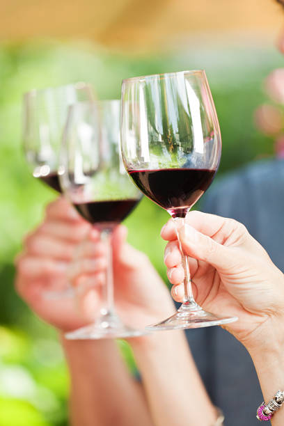 istock Toasting and Cheering with a Glass of Wine 173253298