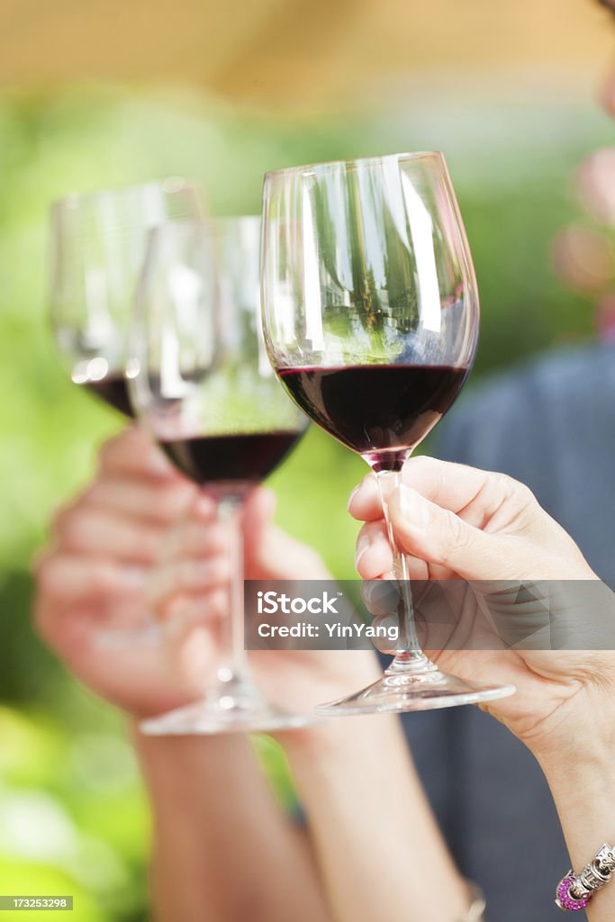 Тоста и радость с бокалом вина - Стоковые фото 20-29 лет роялти-фри