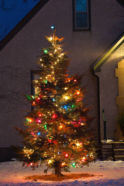 istock Decorated Outdoor Christmas Tree with Light in Evening 173253324