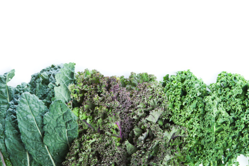 Subject: Several varieties of fresh kale forming bottom border of the page, leaving white background for copy in upper half of page.