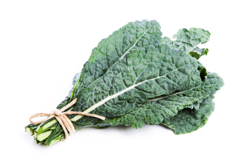 A bouquet of Lacinato kale, a raw, fresh, leafy green vegetable, tied as a stack together in a bunch and isolated on white background. The food may be an ingredient in vegetarian meals and may be grown in an organic garden. It is part of a diet for healthy eating.