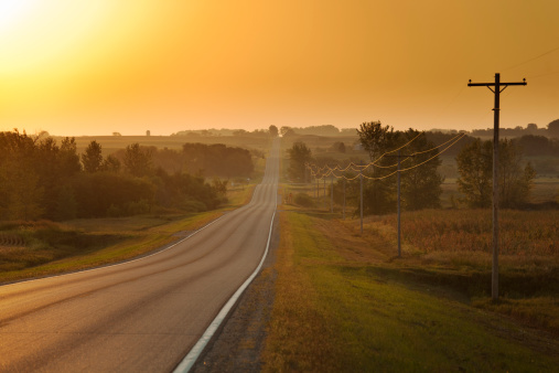 Subject: Early morning dawn sunrise in rural country road among golden fields of ready to harvest crops.