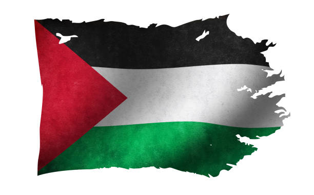 Dirty and torn country flag illustration / Palestine Dirty and torn country flag illustration / Palestine palestinian flag stock illustrations