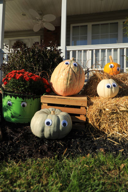 istock Colorful Pumpkins with fun eyes 1732546461