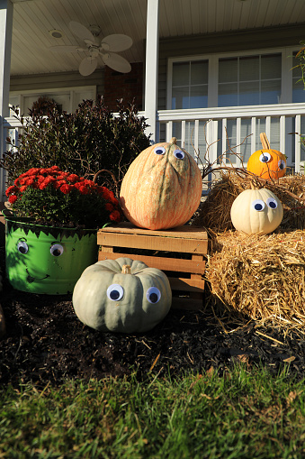 Colorful Pumpkins with googly eyes. Some on hay bales and others on wooden crate. Also a green metal bucket with red mums. The bucket decorated with Frankenstein face.