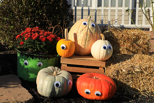 Colorful pumpkins with googly eyes. Green Frankenstein bucket with red mums. Bails of hay and wooden crate.