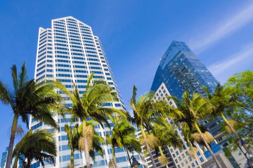 Office buildings and palm trees in downtown San Diego, CA.