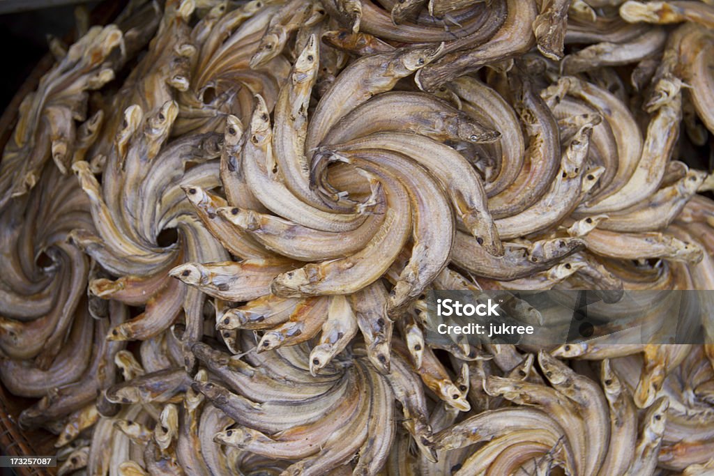 Peixes secos no mercado, Tailândia - Royalty-free Animal Foto de stock