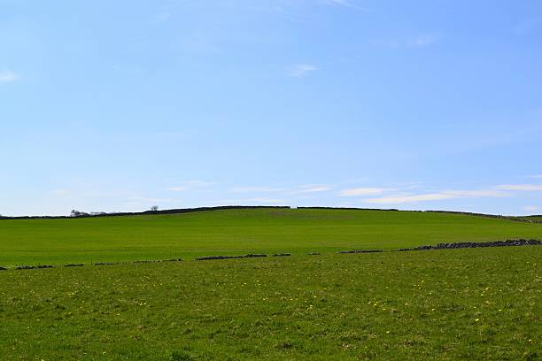 istock Sea of Green. 173259740