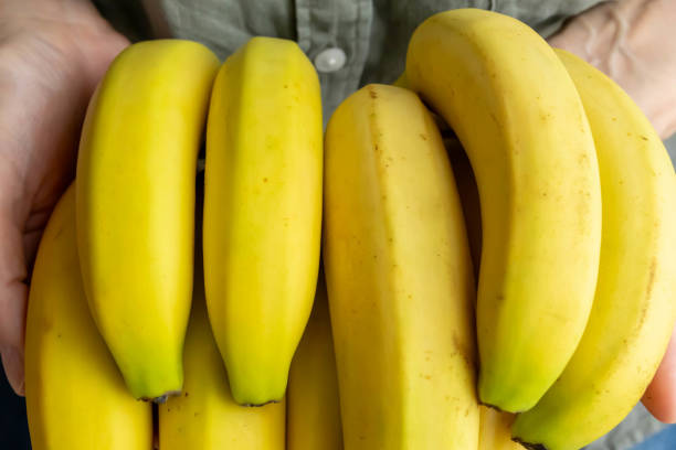 istock banana in hand 1732624481