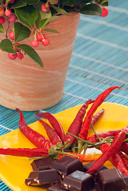 Picture of chilli peppers, chocolate and gaultheria plant