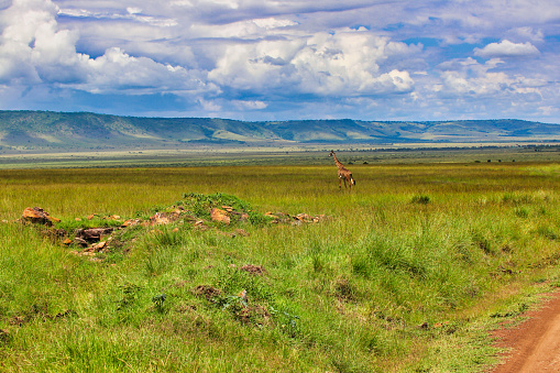 the Mara from above – the Mara River seen from above aboard a hot air balloon with other hot air balloons around, with beautiful morning light at sunrise - Serengeti – Tanzania