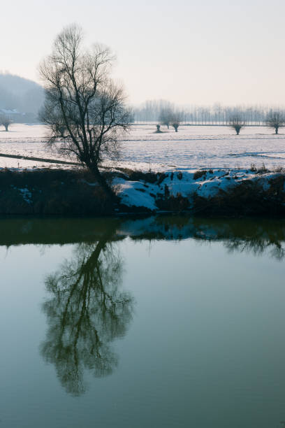 THE TWO TREES near Masio