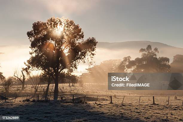 Sunrise In The Yarra Valley On A Winters Day Stock Photo - Download Image Now - Winter, Melbourne - Australia, Landscape - Scenery