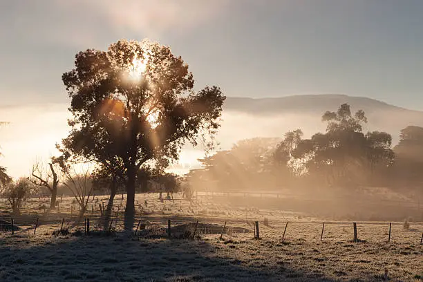 Photo of Sunrise In The Yarra Valley On a Winter's Day