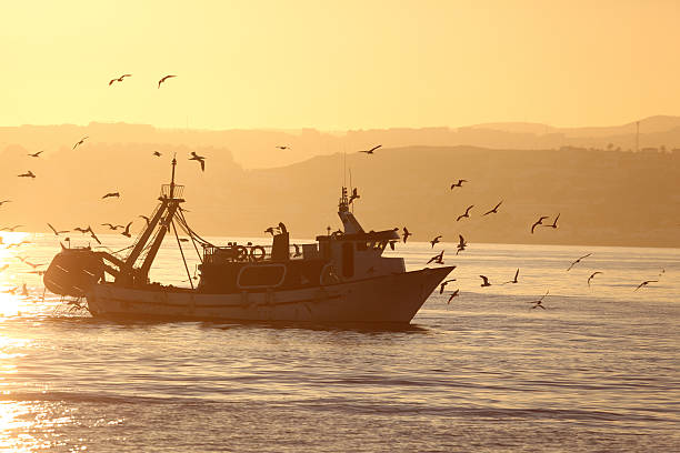 istock Fishing boat coming back home 173264331