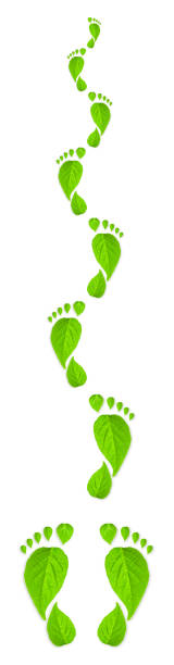 istock Green leaf footprint concept 173264420