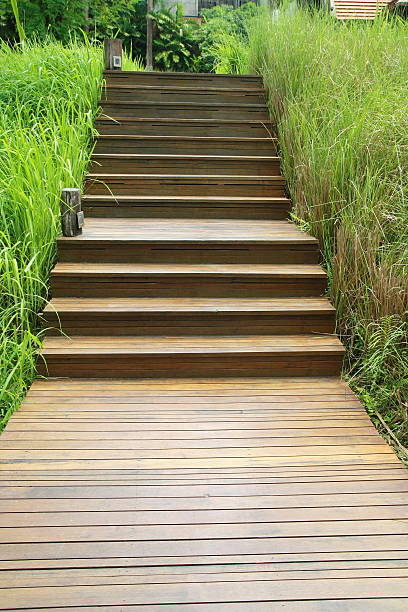 木製の階段とグラス - footpath wood horizon nature ストックフォトと画像