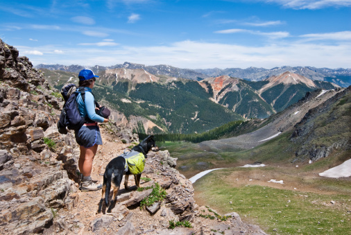 A young woman hiker and her companion dog look out over the San Juan Mountains from 12,000' Columbine Lake Pass in the San Juan National Forest near Silverton, Colorado, USA.