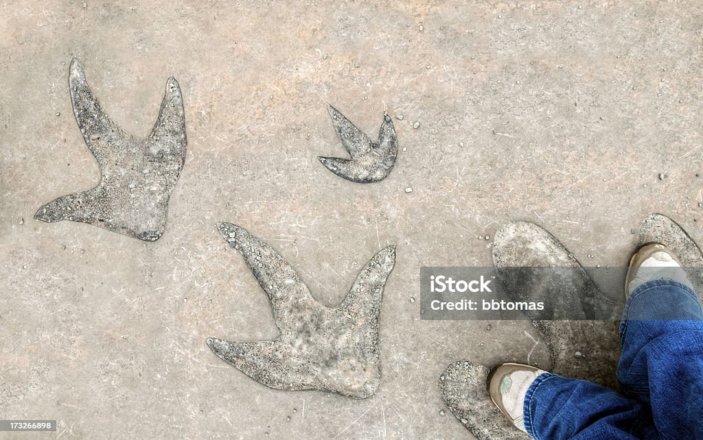 Dinosaurier großen Schritte - Lizenzfrei Fußabdruck Stock-Foto