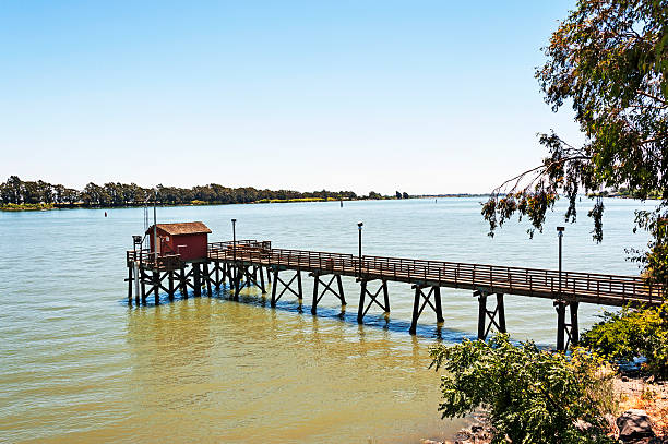 istock Walkway on the Sacramento River 173268980