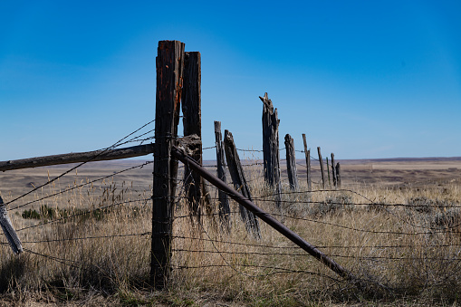 Closeup of dried grasses and a two strand barbed wire fence with horizon and blue sky in background