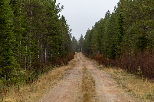 Rovaniemi, Finland A dirt road in the forest