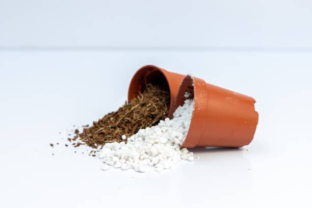 istock A mixture of perlite and cocpeat in small plastic pots. Soil mix concept for plants. 1732768092