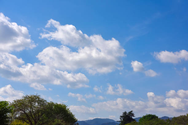 Landscape photo of blue sky and trees.