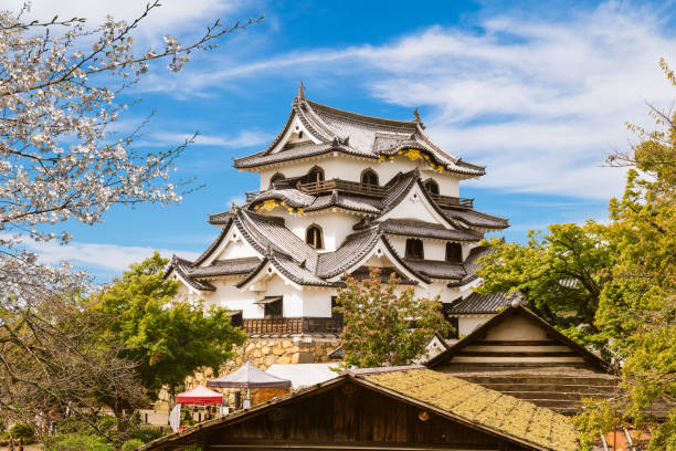 tenshu of hikone castle located in hikone city, shiga, japan - shiga fotos stockfoto's en -beelden