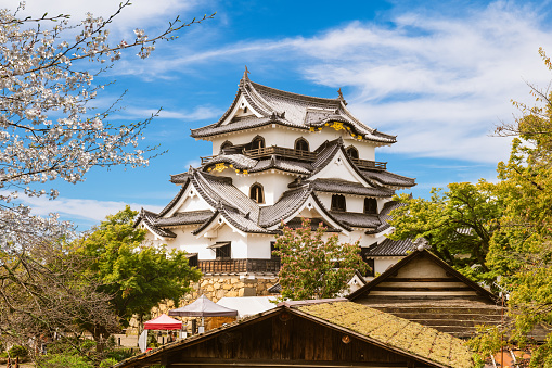 Tenshu of Hikone Castle, a Japanese Edo-period Japanese castle located in the city of Hikone, Shiga Prefecture, Japan. The site has been protected as a National Historic Site since 1951.