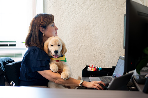 Latin woman working from home and holding her dog while using the computer