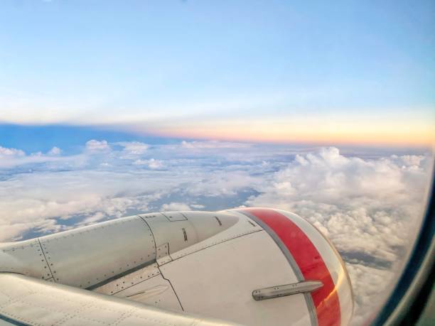 istock Looking out of window 1732824685