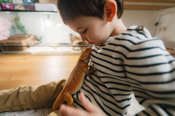 istock Little boy and his pet lizard 1732830557