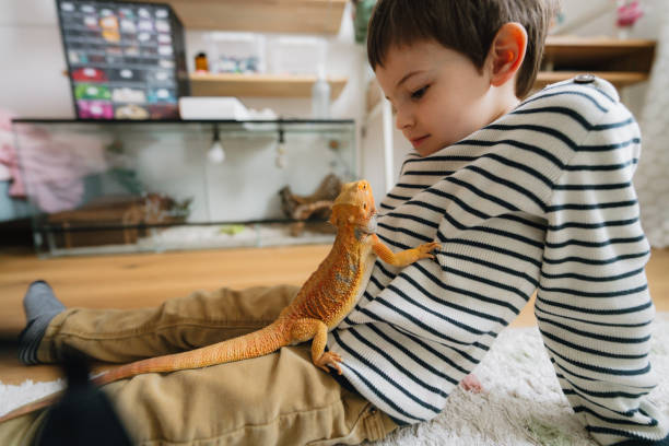 istock Little boy and his pet lizard 1732830562
