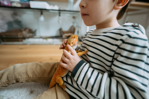 istock Little boy and his pet lizard 1732830565
