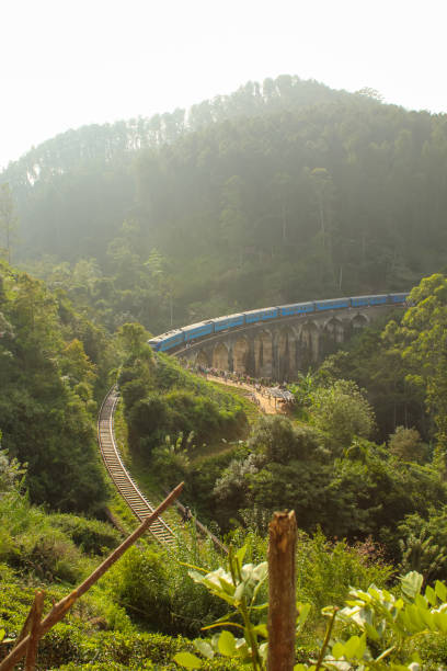 istock Broken trees on the foreground, aerial image of train passing Nine Arch Bridge 1732838724