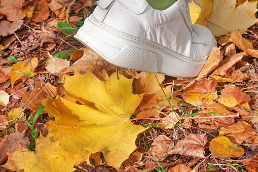An elderly lady in white sneakers walks in the forest in autumn. Sneaker close-up. Autumn concept.