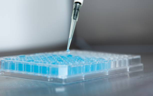 istock Laboratory technician carefully injecting liquid into a tray in a sterile environment 1732958966