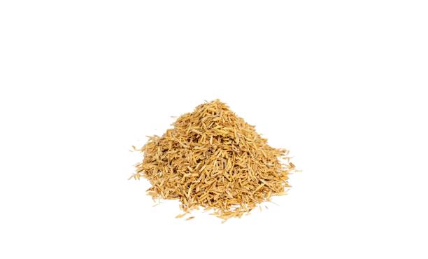 istock Heap of rice husk isolated on a white background 1732970842