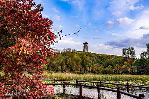 The scenery of Jingyuetan National Forest Park in Changchun, China in early autumn