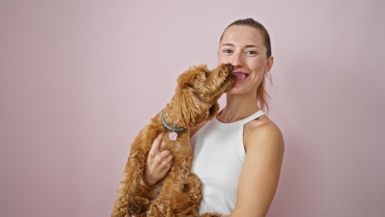 Young caucasian woman with dog smiling kissing over isolated pink background