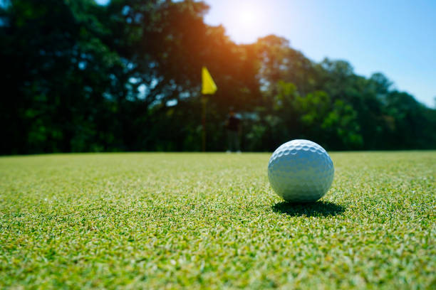 istock Golf ball on green grass in beautiful golf course 1733005210