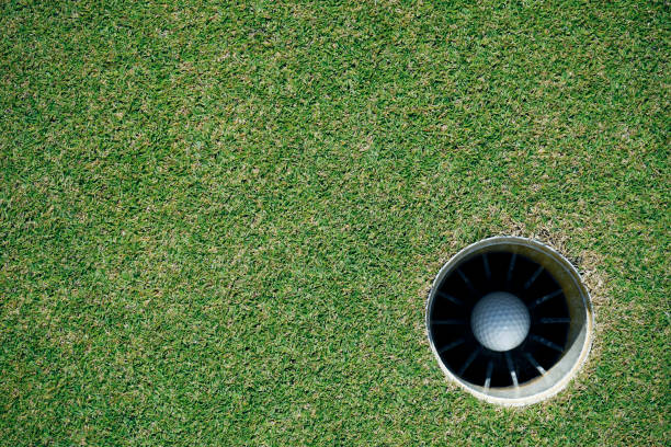 istock Golf ball in the hole 1733007539