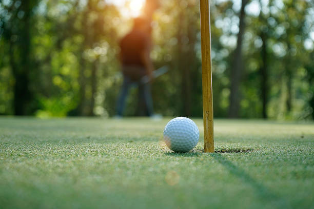 istock Golf ball on green grass in beautiful golf course 1733009181