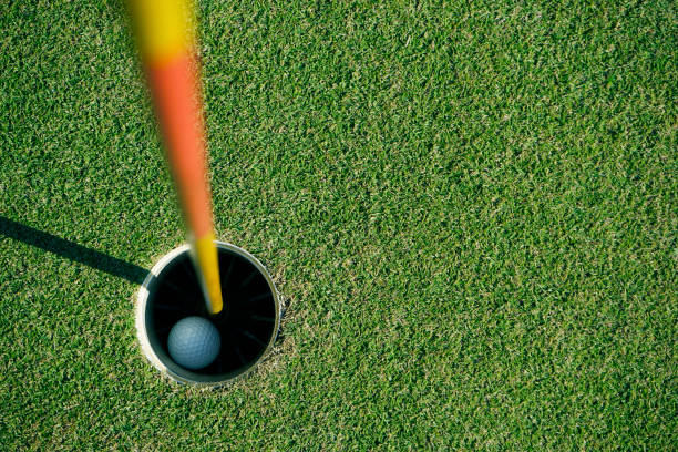 istock Golf ball is beside the hole 1733011524