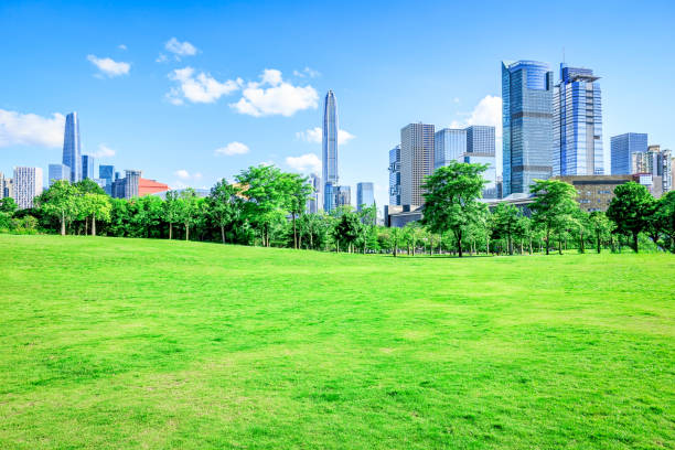istock Shenzhen city financial district skyline and park grass scenery 1733015697