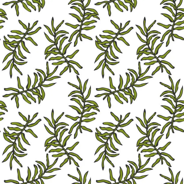 Vector illustration of Moss twig hand drawn doodle pattern on white background.