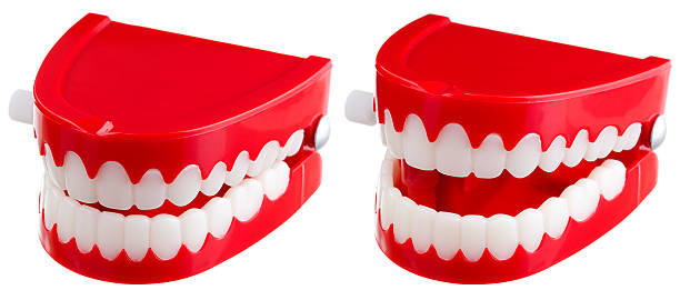 Two toy wind-up chatter teeth on a white background stock photo